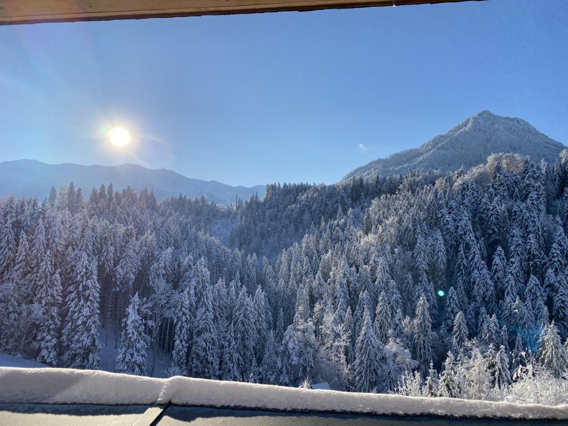 Wohnung Staufenblick Und Wohnung Firstblick Dornbirn Esterno foto