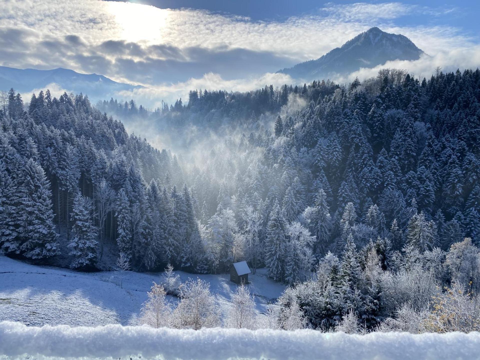 Wohnung Staufenblick Und Wohnung Firstblick Dornbirn Esterno foto