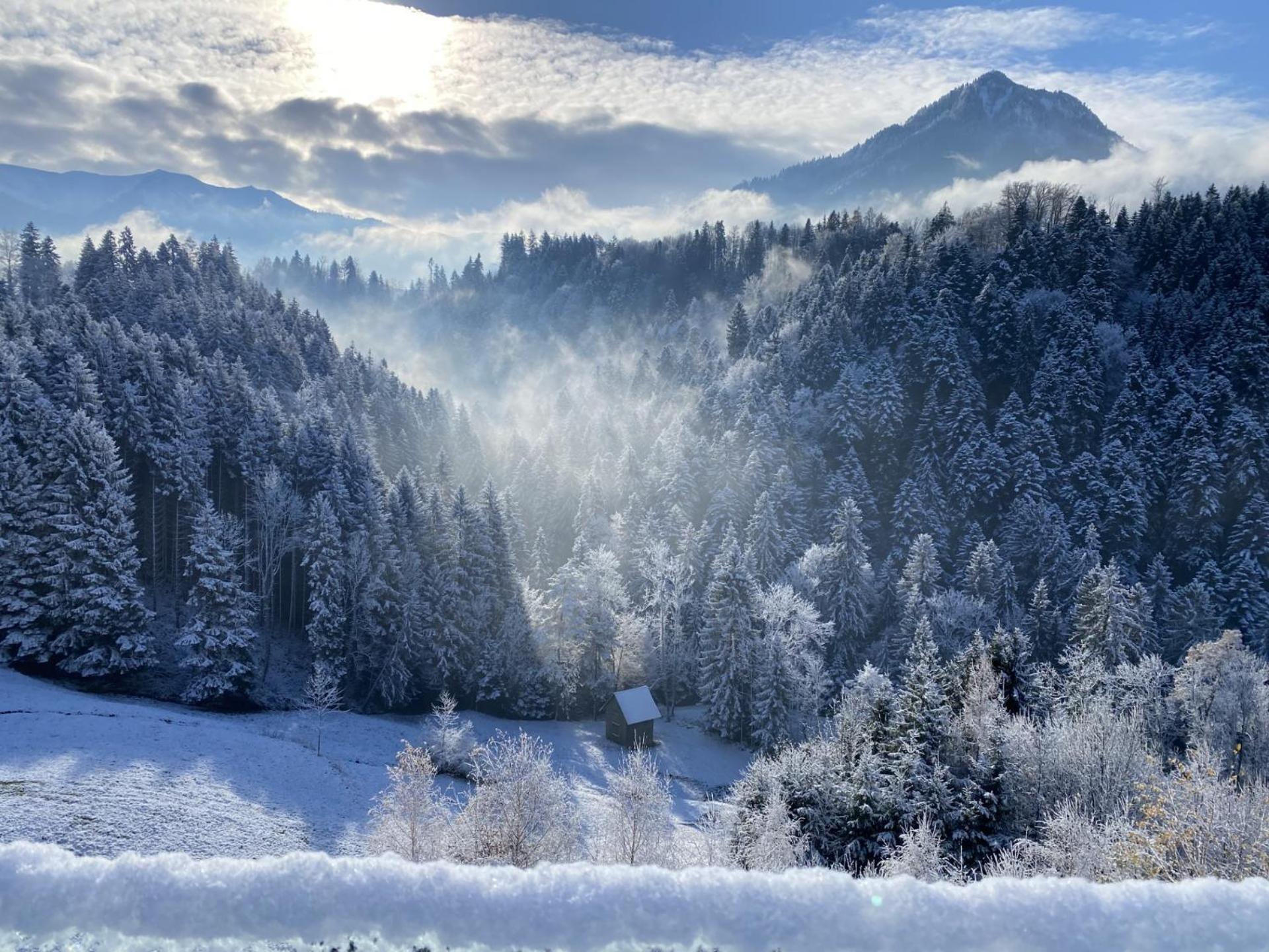 Wohnung Staufenblick Und Wohnung Firstblick Dornbirn Esterno foto